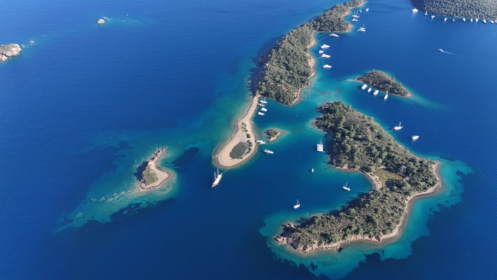 yassica islands